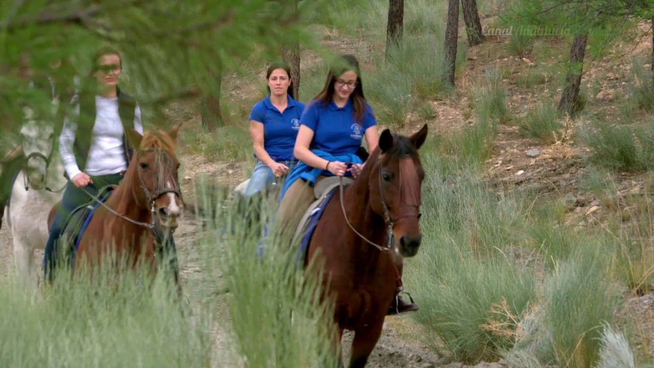 Ruta a caballo por la sierra de granada: descubre los mejores recorridos 1 ruta a caballo granada