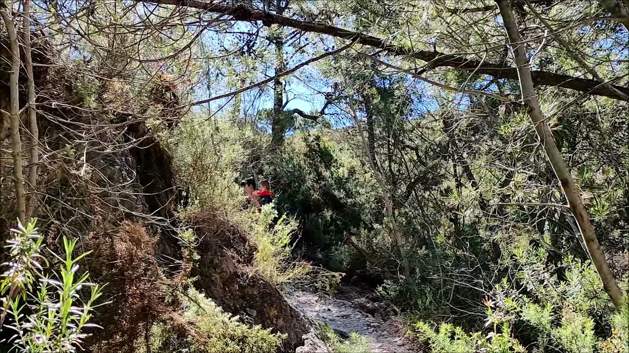 Ruta el acebuchal en frigiliana: guía completa para disfrutar del senderismo en la axarquía 1 ruta el acebuchal frigiliana