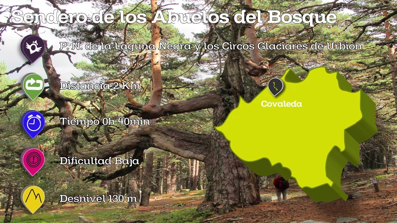 Ruta de senderismo en soria: descubre los mejores caminos y paisajes naturales 1 ruta senderismo soria