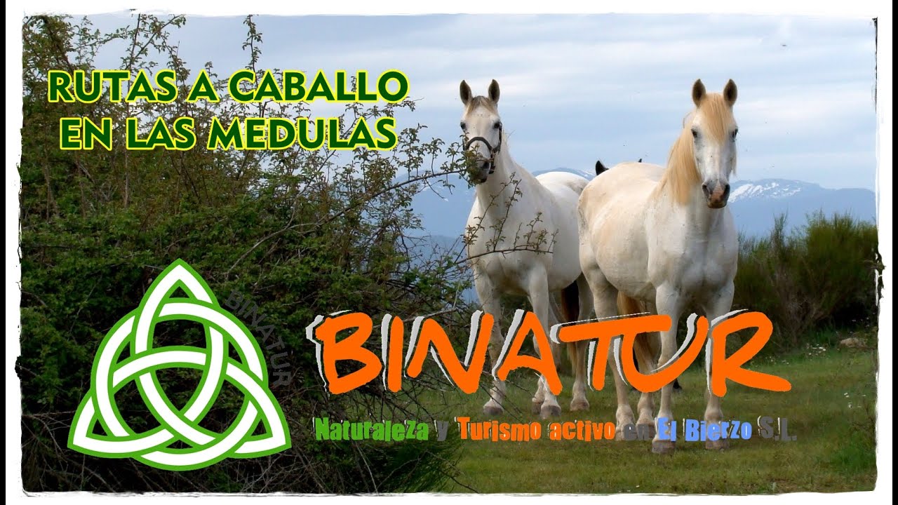 Ruta a caballo por León: descubre los mejores recorridos y paisajesနဲ 1 ruta a caballo leon