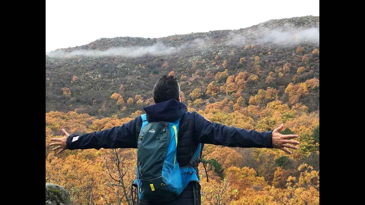 Ruta bosque de la herrería: guía completa para disfrutar de la naturaleza 1 ruta bosque de la herreria