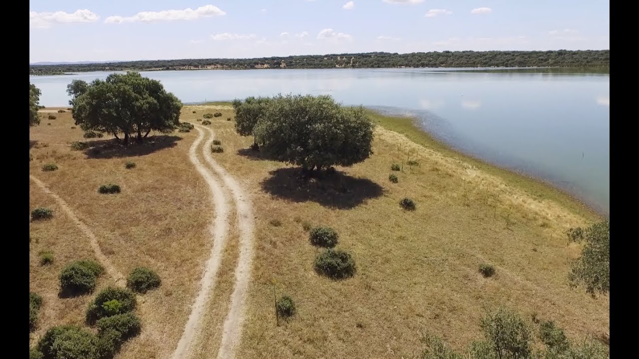 Ruta de las aves de navalcán: guía completa para los amantes de la observación de aves 1 ruta de las aves de navalcán