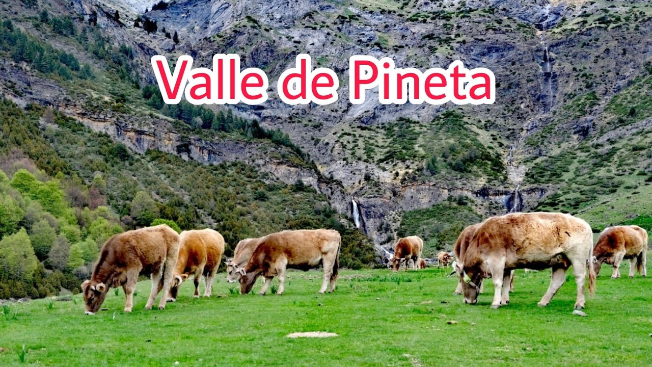 Ruta valle de pineta: descubre los paisajes y senderos más impresionantes 1 ruta valle de pineta